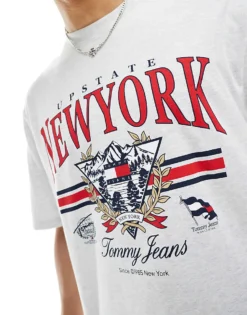 Tommy Jeans Oversized Vintage Explorer T-shirt In Grey For Men Silver Grey -Tomeans Store 206379778 4