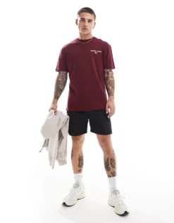 Tommy Jeans Classic Linear Back Print T-shirt In Plum For Men Deep Rouge -Tomeans Store 206858859 3